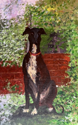 Greyhound in the garden