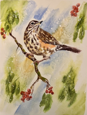 Winter visitor no1