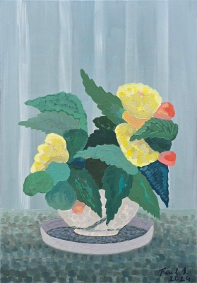 Yellow Begonia in Flower Pot