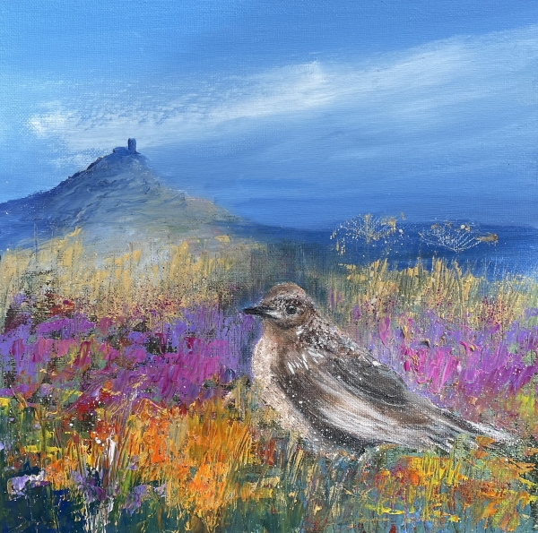 Female Blackbird on Dartmoor