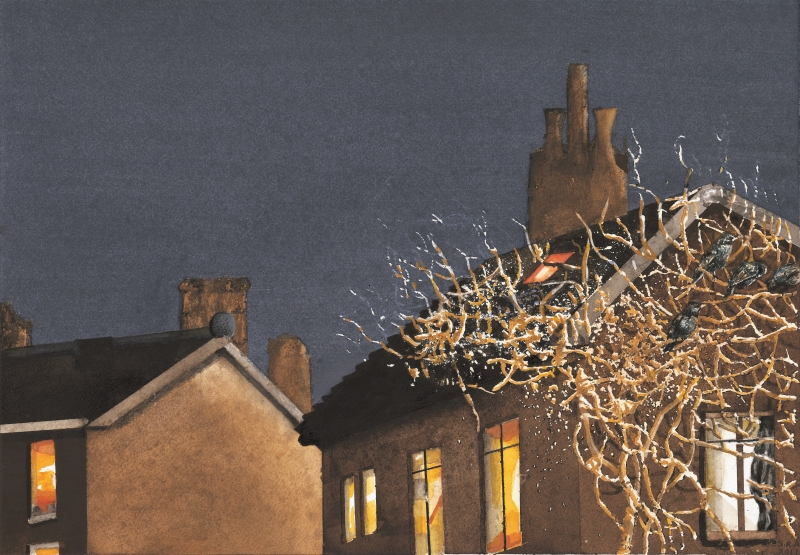 TIRED STARLINGS AT REST...BLACK ROOF COUNTRY 1