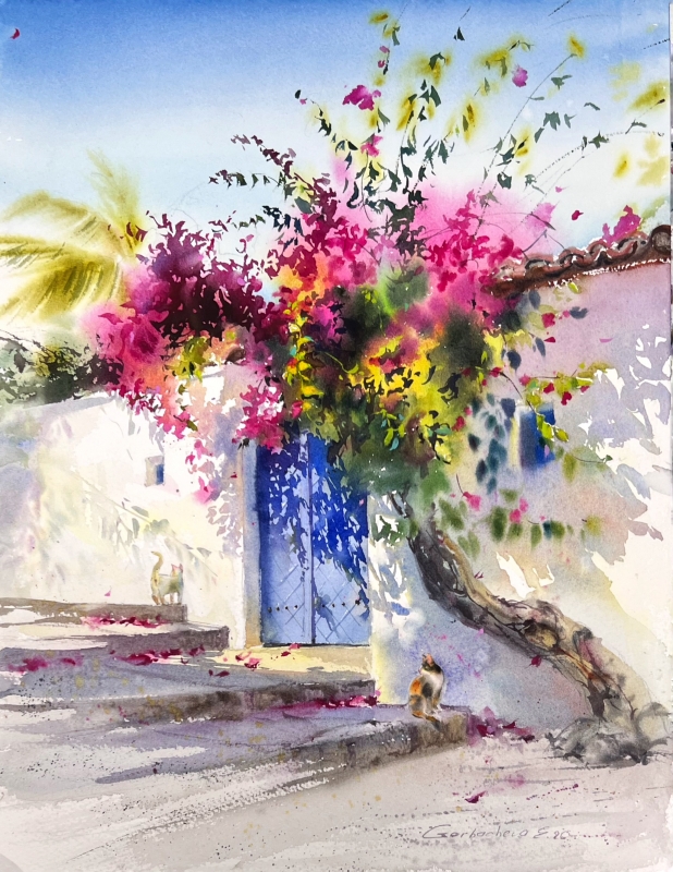 Where Bougainvillea Blooms