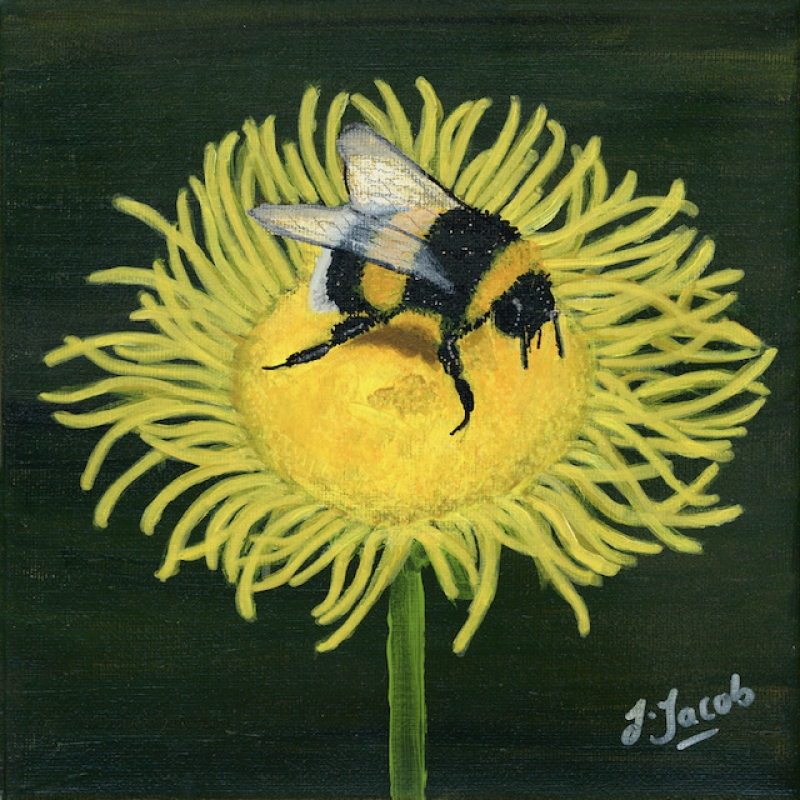 The Busy Bee