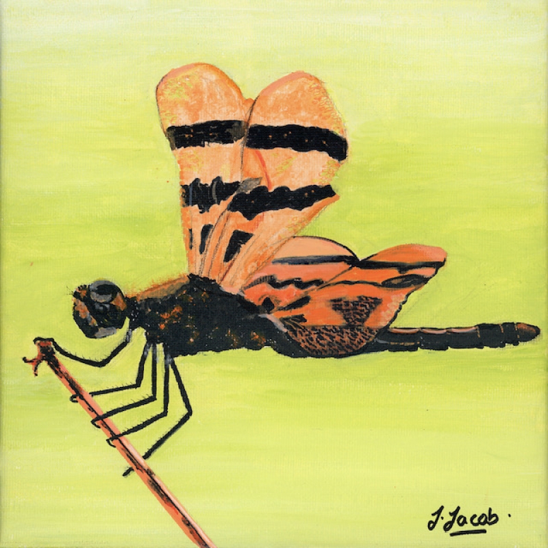 Prismatic Flight 