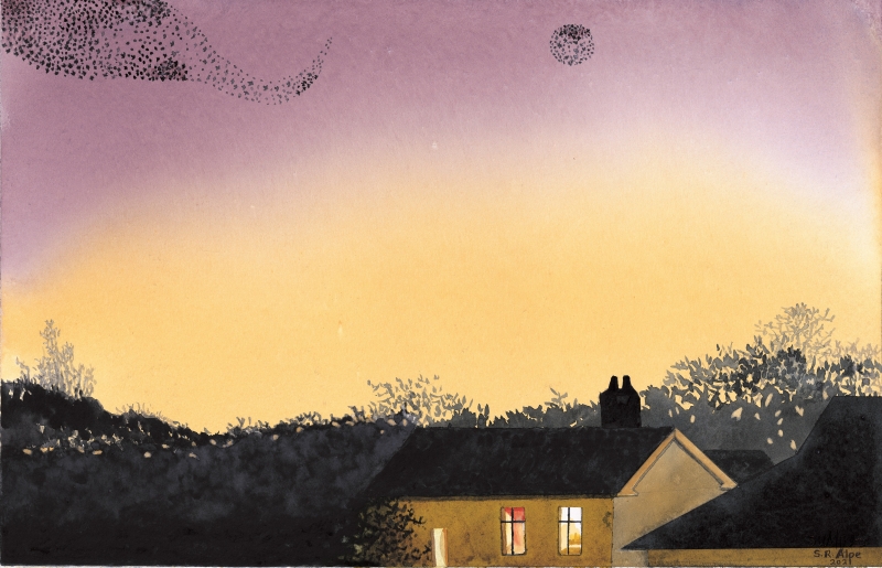 TIRED STARLINGS MURMURATIONS...BLACK ROOF COUNTRY 2