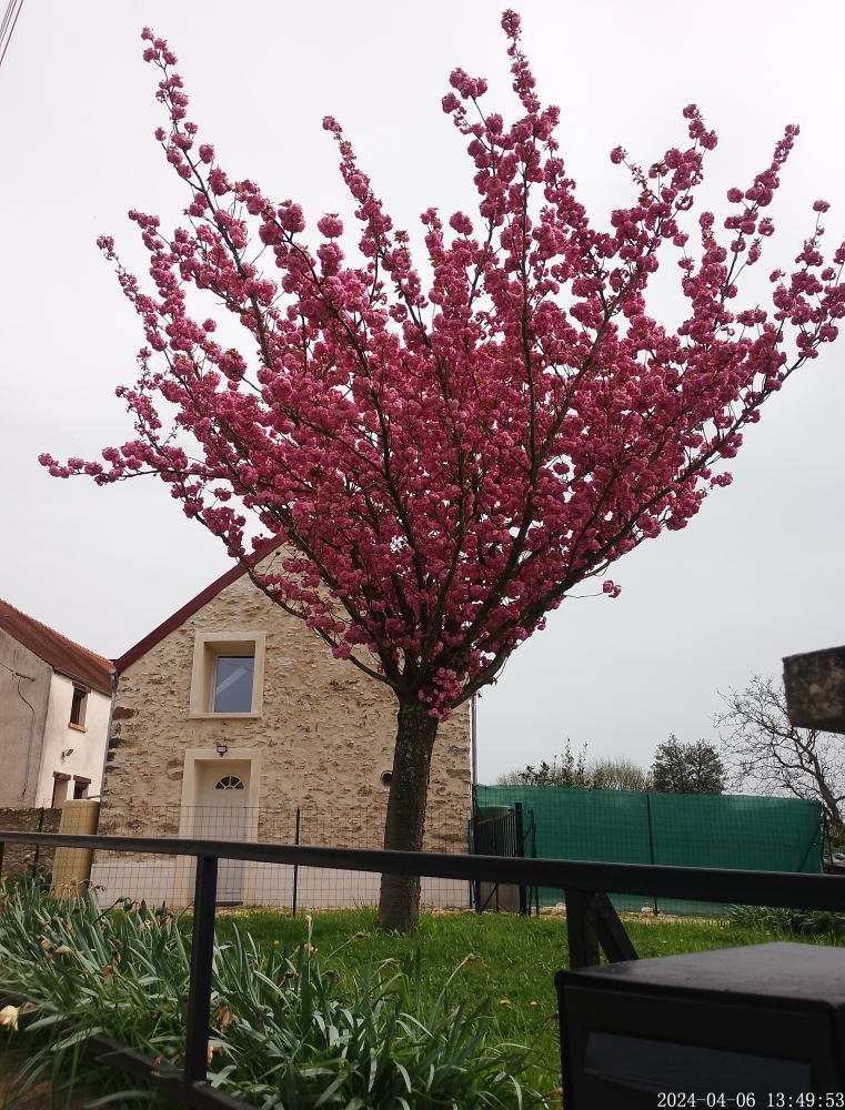 Charmante Maison briarde entièrement rénovée