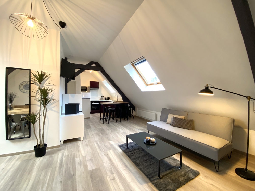 Le Loft Boisé, T3 Vernon (27), Wifi haut débit 