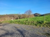 Gîte dans les Monts du Lyonnais