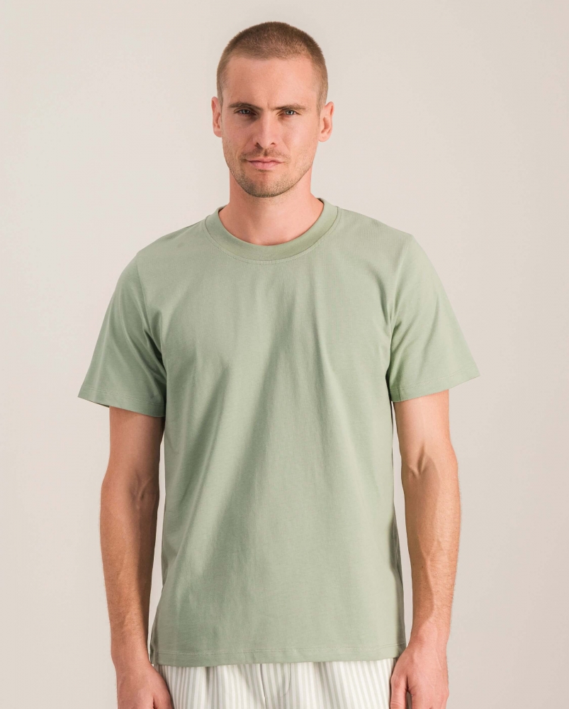 T-shirt homme coton bio, sauge