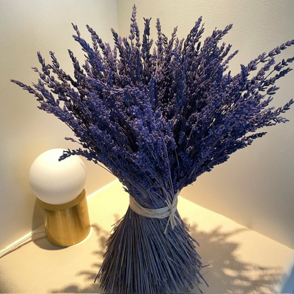 BOUQUET ÉTERNEL RUE DE PROVENCE 