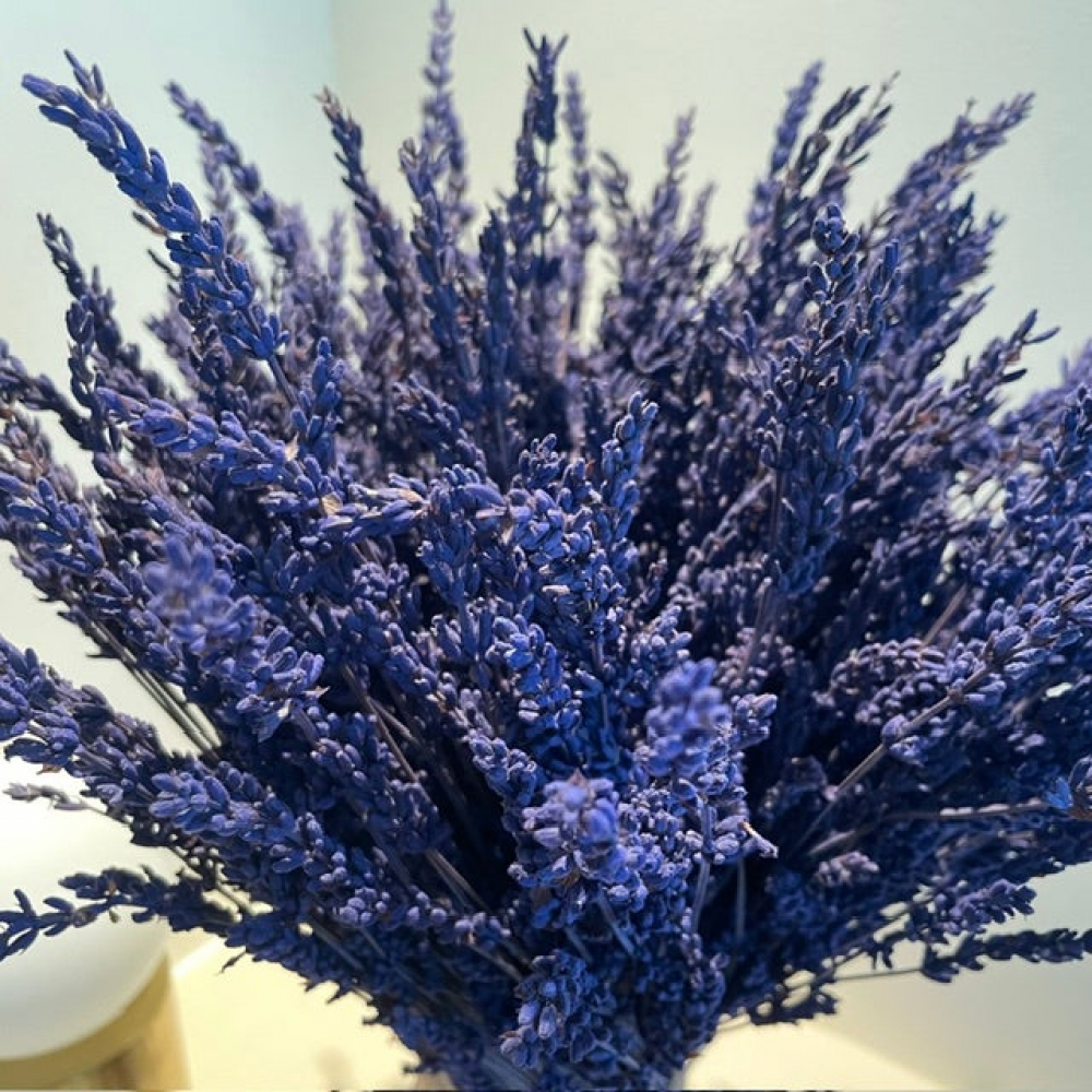 BOUQUET ÉTERNEL RUE DE PROVENCE 