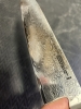 MIYABI SG2 BIRCHWOOD GYUTO 240MM