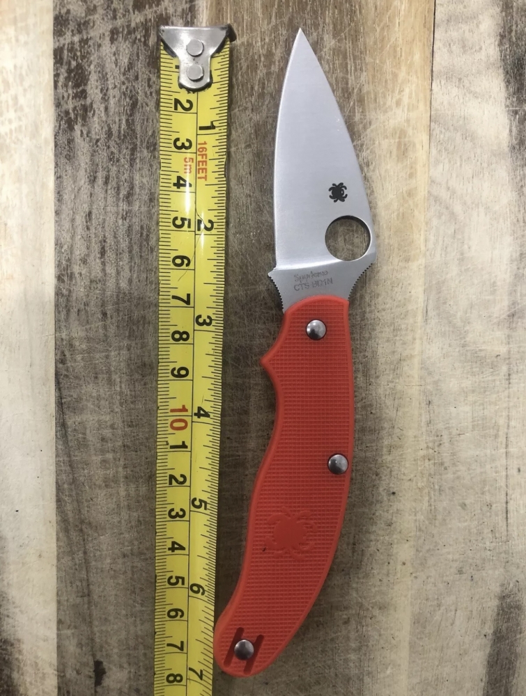 Outdoor Folding Knife Spyderco 