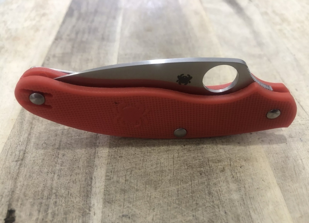 Outdoor Folding Knife Spyderco 