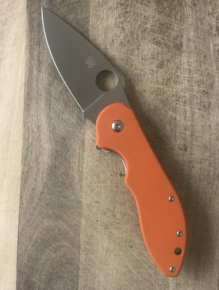 Outdoor Folding Knife Spyderco 