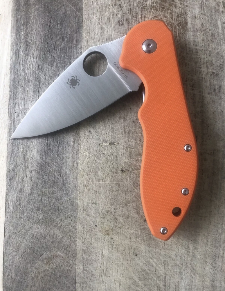 Outdoor Folding Knife Spyderco 