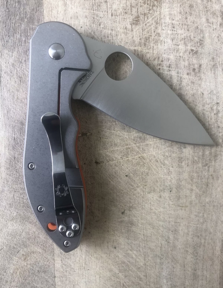 Outdoor Folding Knife Spyderco 