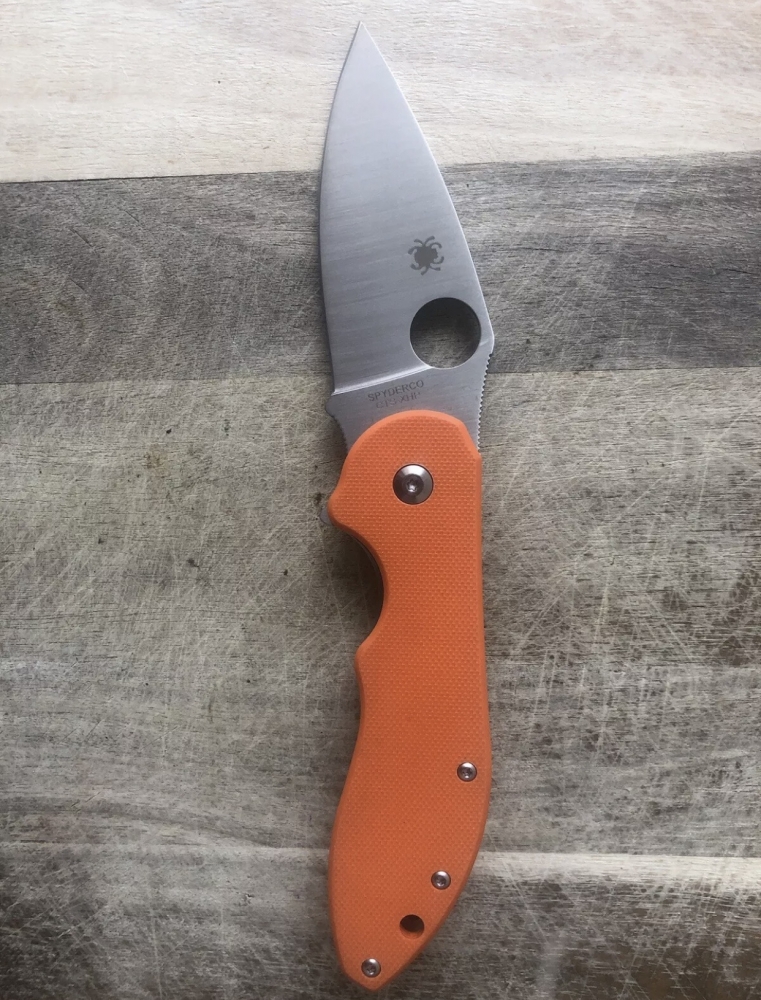 Outdoor Folding Knife Spyderco 