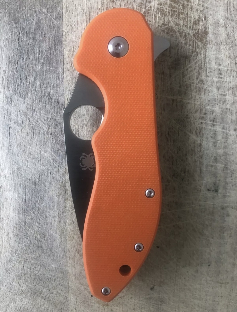 Outdoor Folding Knife Spyderco 