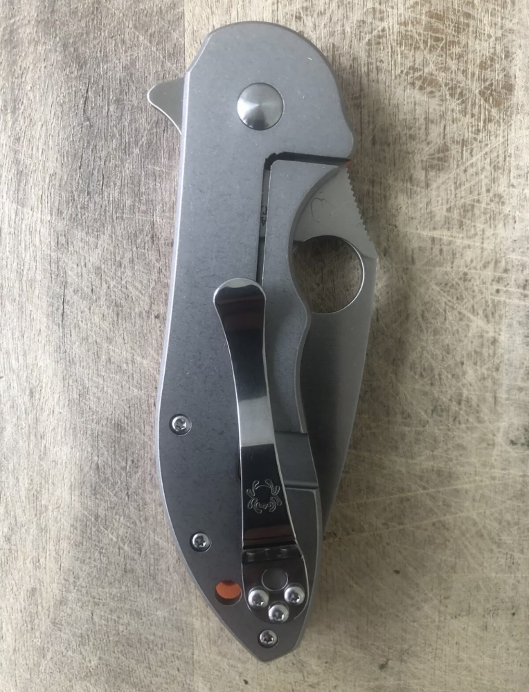 Outdoor Folding Knife Spyderco 