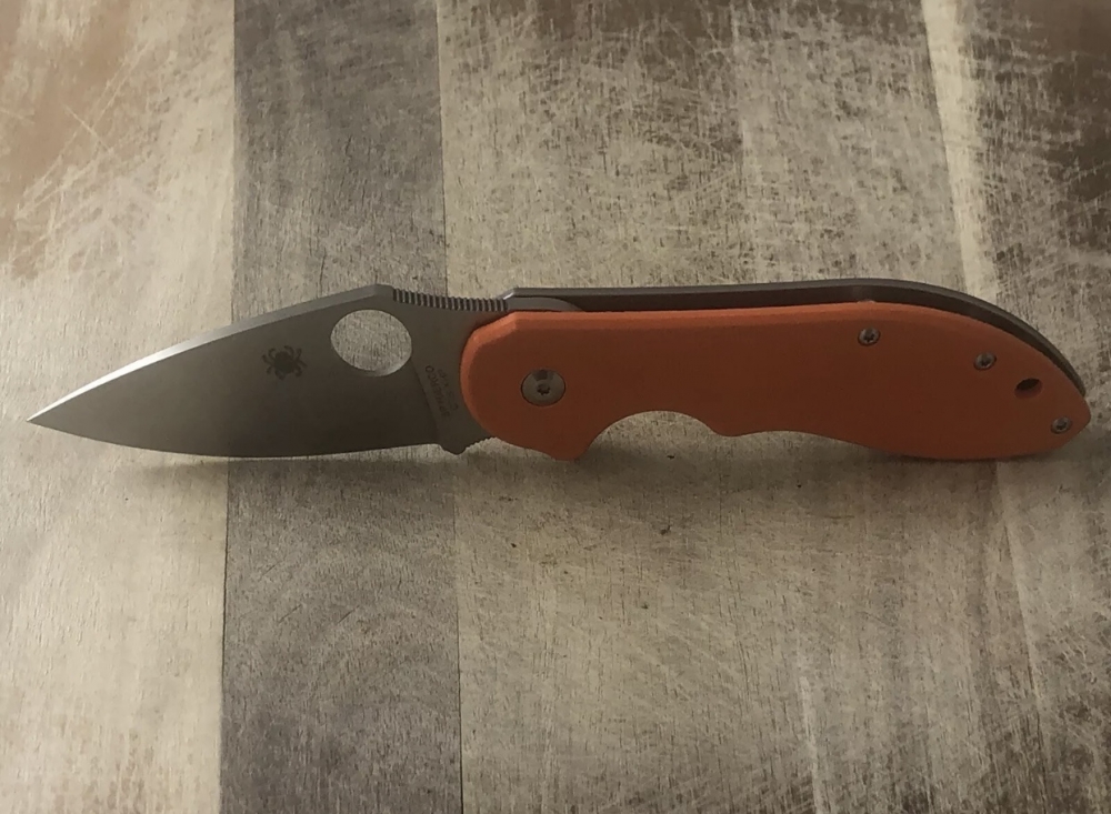 Outdoor Folding Knife Spyderco 