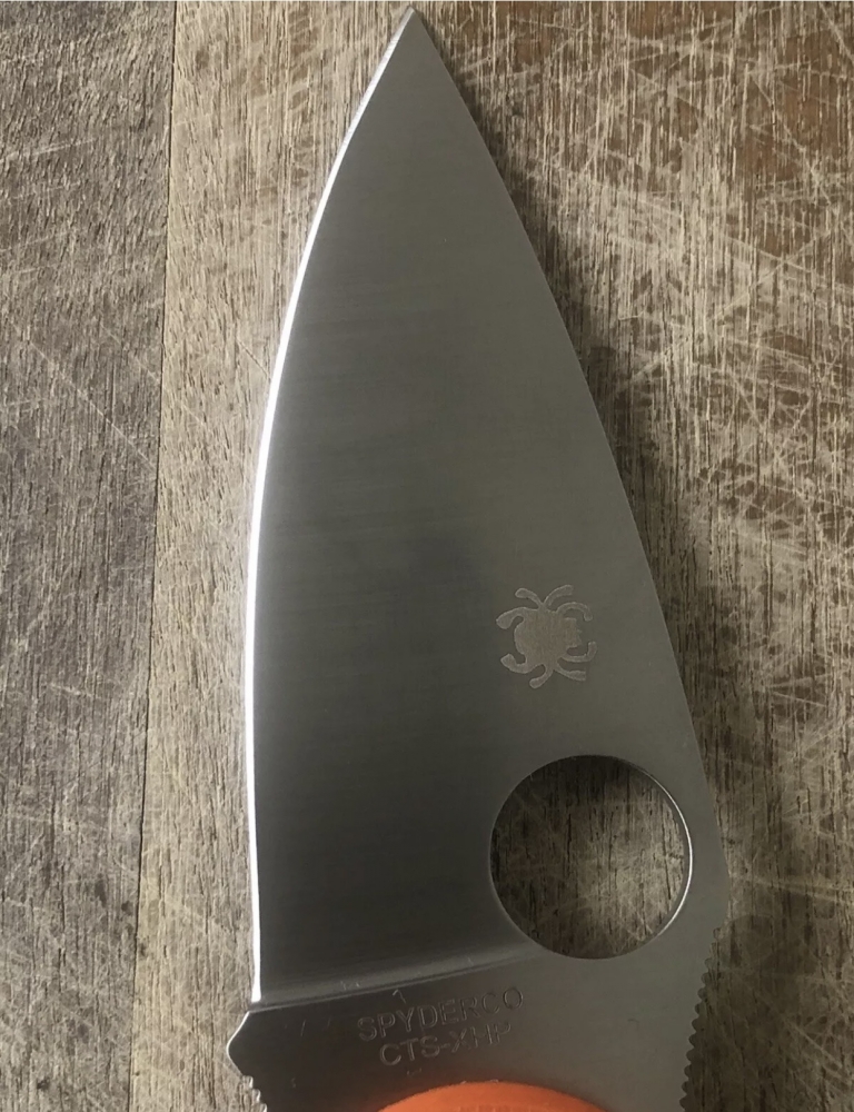 Outdoor Folding Knife Spyderco 