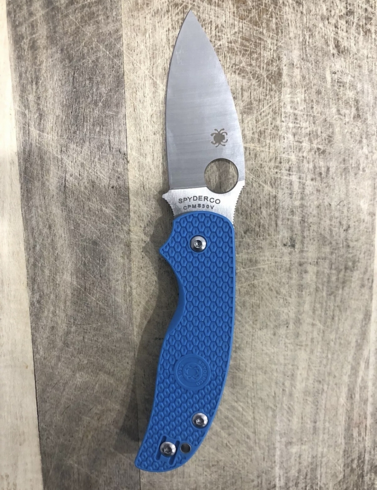 Outdoor Folding Knife Sage Spyderco