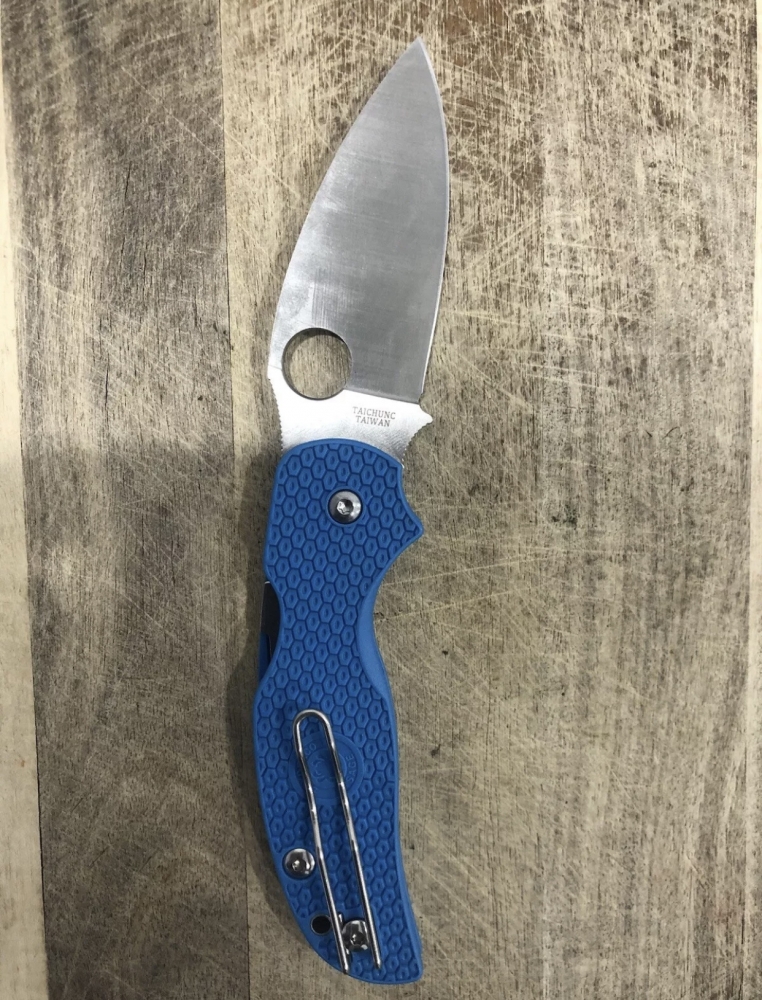 Outdoor Folding Knife Sage Spyderco