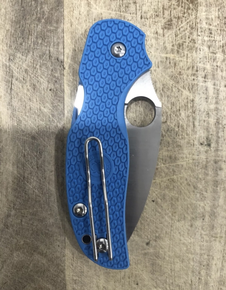 Outdoor Folding Knife Sage Spyderco