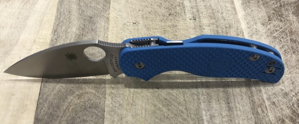 Outdoor Folding Knife Sage Spyderco