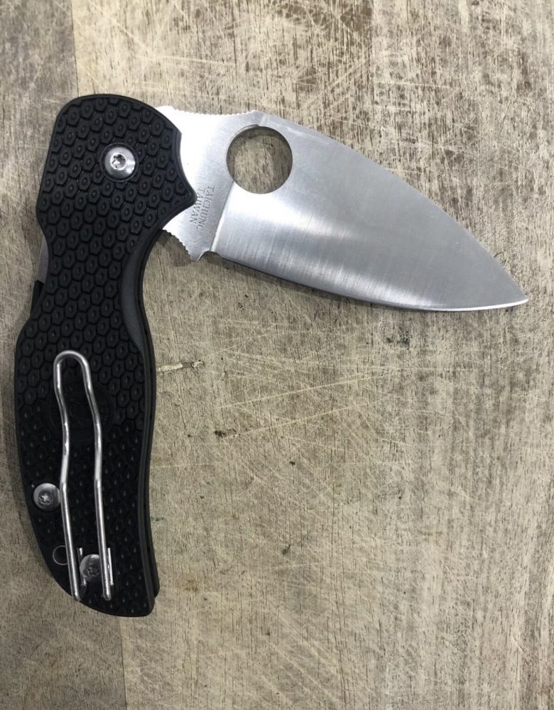 Outdoor Folding Knife Sage Spyderco