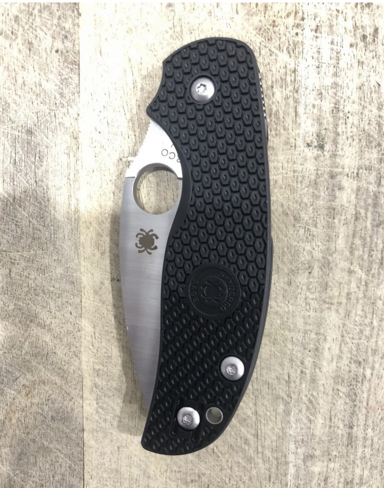 Outdoor Folding Knife Sage Spyderco