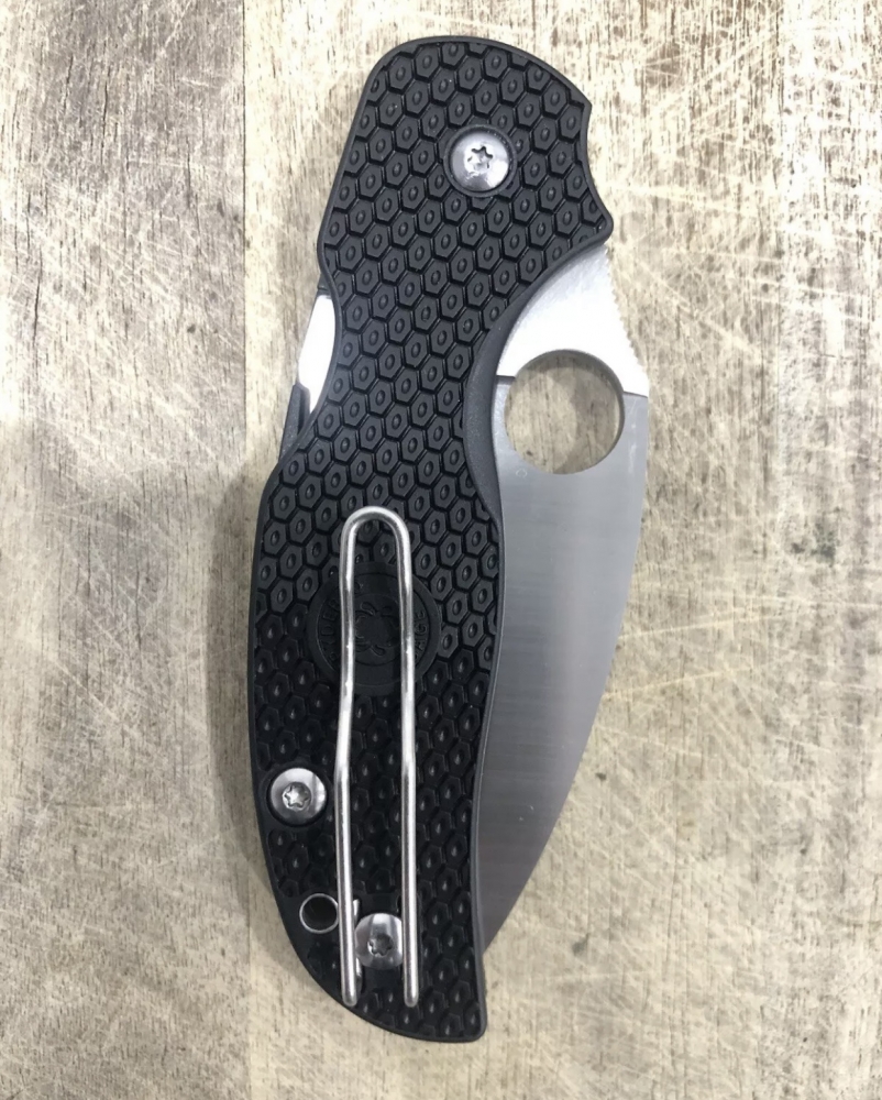 Outdoor Folding Knife Sage Spyderco