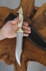 Handgefertigte Echte Hirschgeweih Wolf Messing Jagdmesser Hirsch Horn Bowie Benutzerdefinierte Messer (Dh043)
