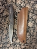 Pathfinder Knife Shop Scorpion with Sheath