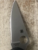 Spyderco Delica 4 Folding Knife 