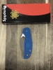 Outdoor Folding Knife Sage Spyderco