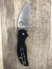 Outdoor Folding Knife Sage Spyderco