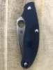 Outdoor Folding Knife Spyderco 