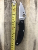 Outdoor Folding Knife Spyderco 