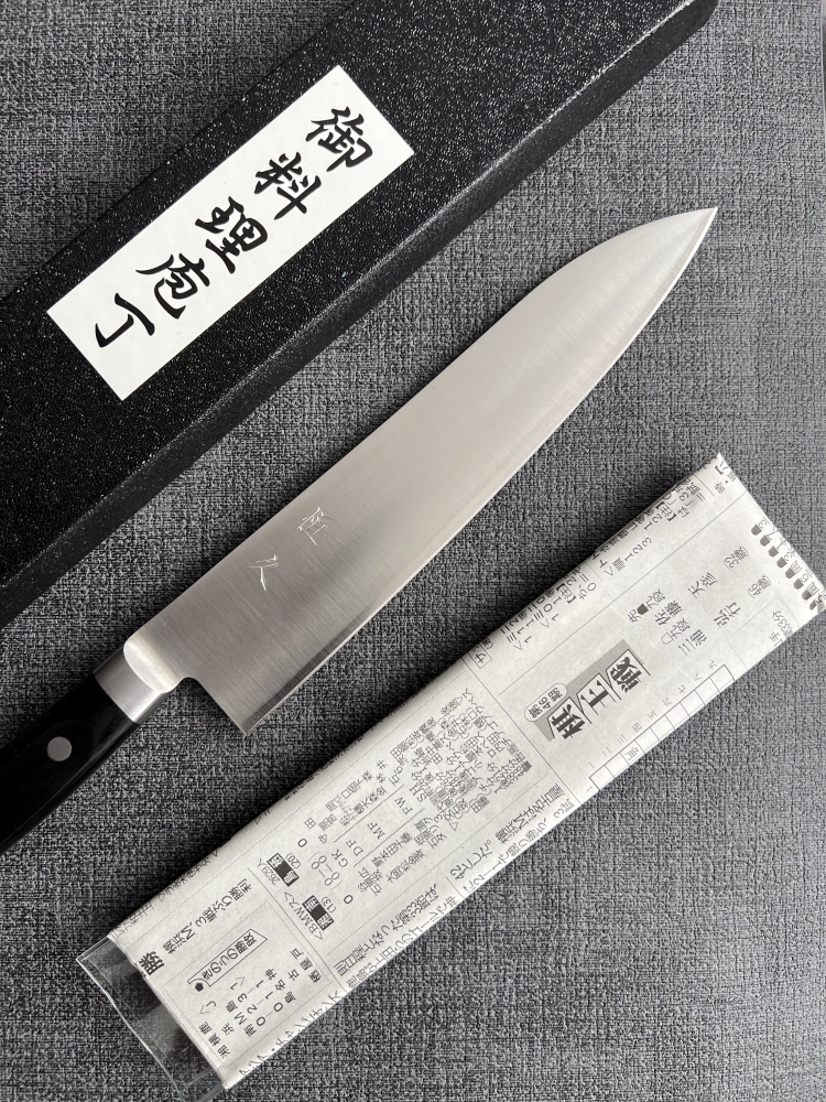 Tsunehisa Gyuto 210mm SRS13 190$