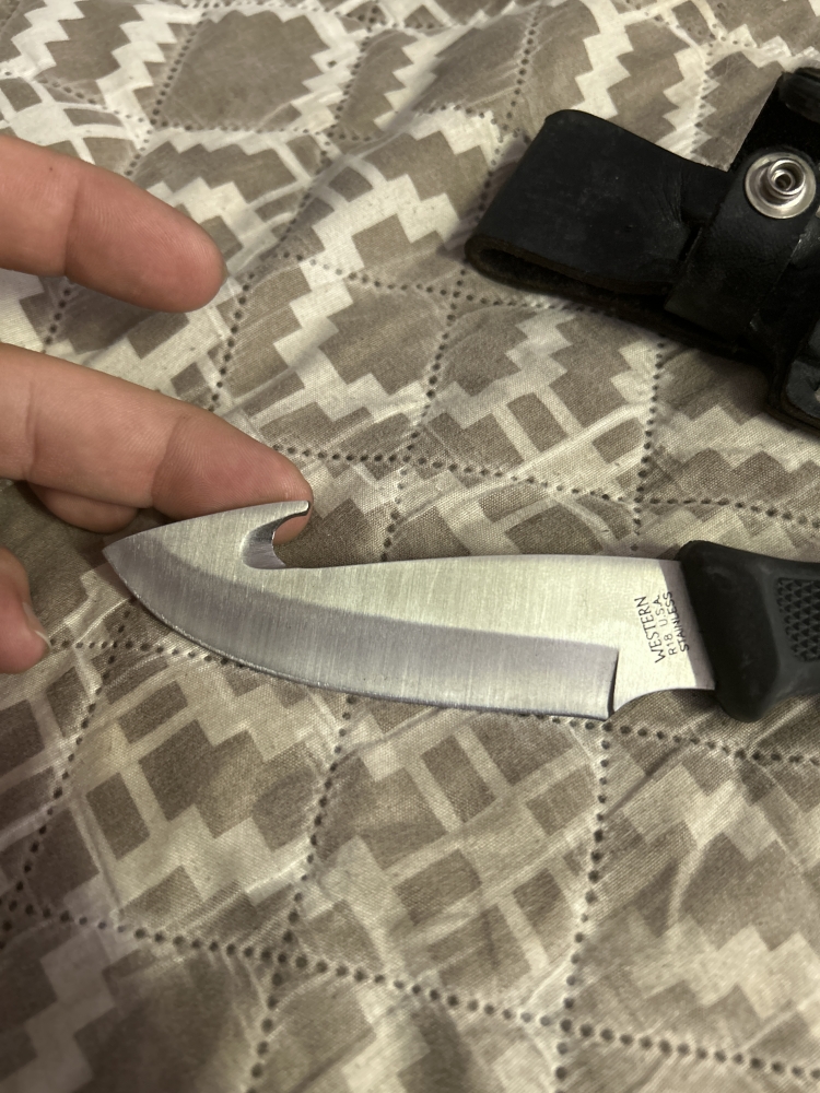 Western Fixed blade with gut hook