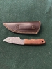 Bucknbear “mini camper” knife