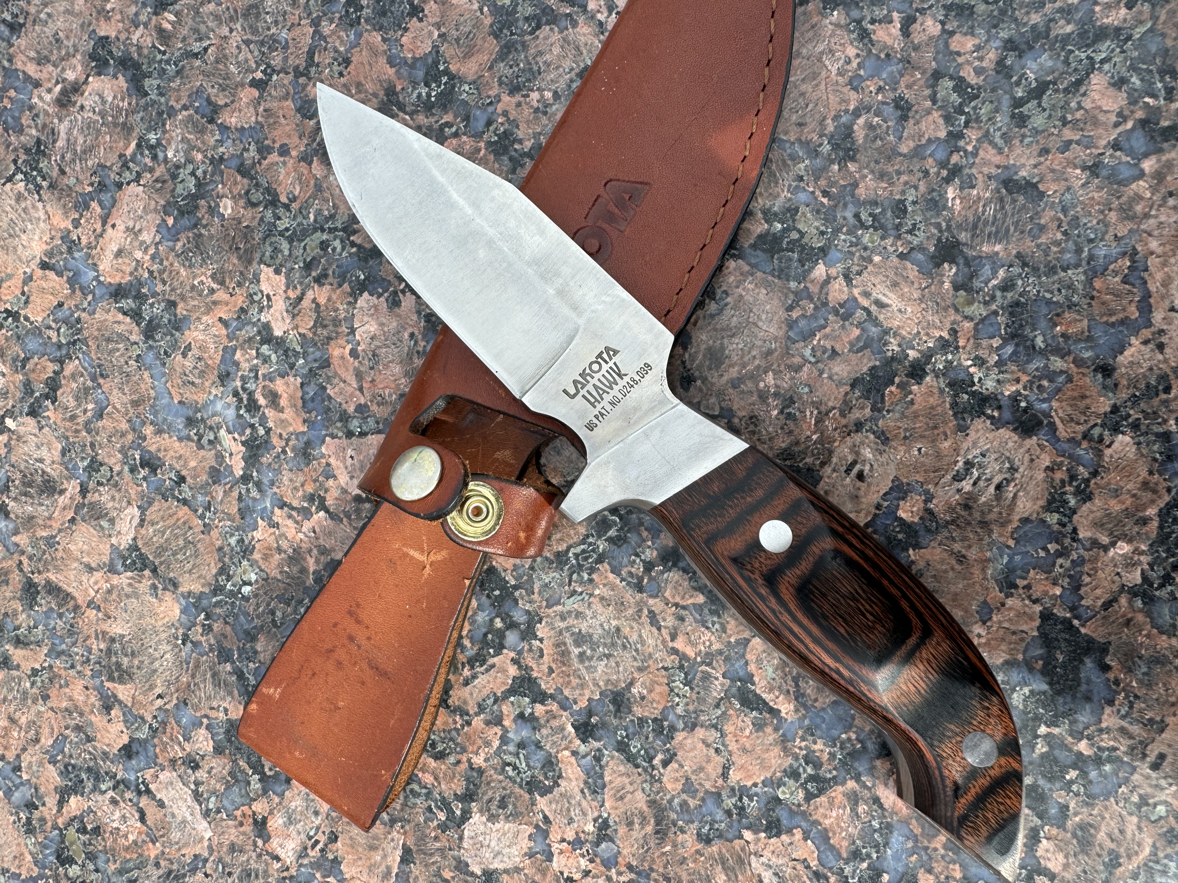 Lakota Hawk