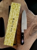 Tojiro DP Santoku 170mm