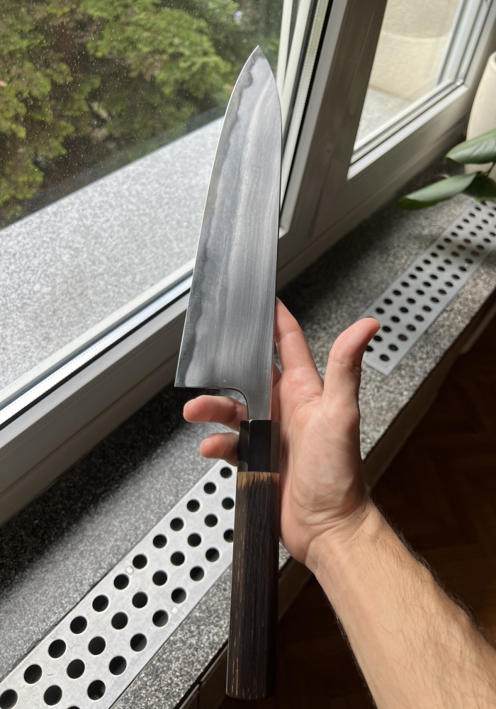 Wakui Workhorse gyuto 270