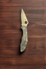 Spyderco Delica 4