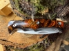 Slip Joint Knife with Beautiful Resin Handle. Drop Point Blade of 2.25\" Overall 6 1/4\".