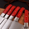 Chef Knives Pakka Wood (5pieces)