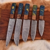 Handmade Damascus Chef Knives Set (5pieces)